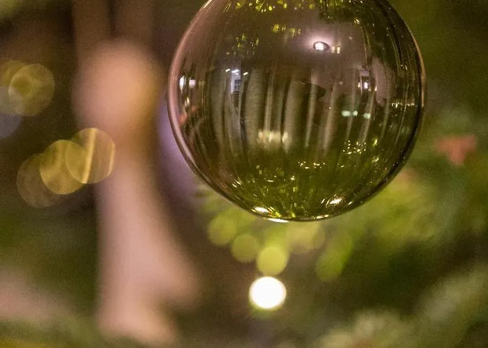 Schlossblick Langenburg